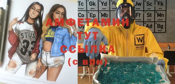 стаф Каменногорск