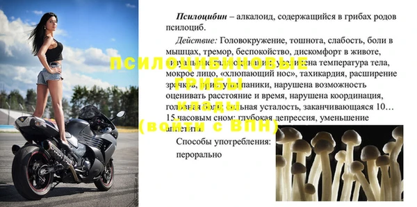 стаф Каменногорск