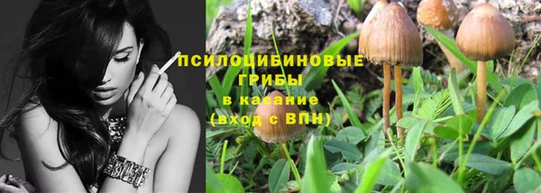 гашиш Касимов