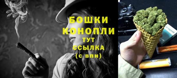 стаф Каменногорск