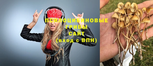гашик Каменск-Шахтинский